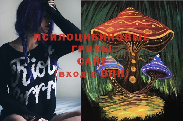 MESCALINE Осинники